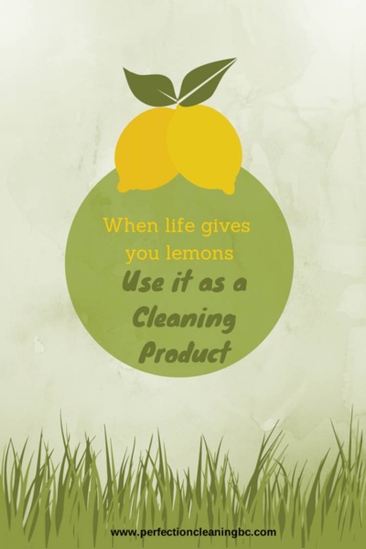  Our Favourite Cleaning Products!