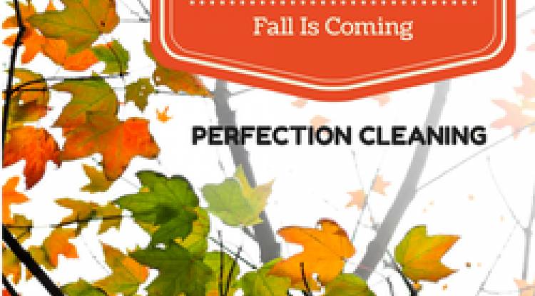 Love It Or Hate It, Fall is Coming